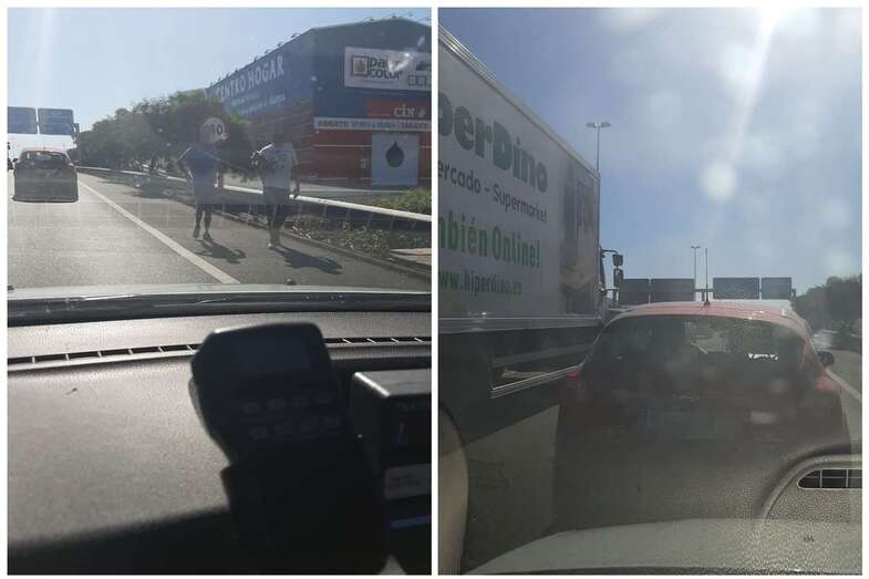 El pequeño perro pudo ser atrapado (Foto TA)